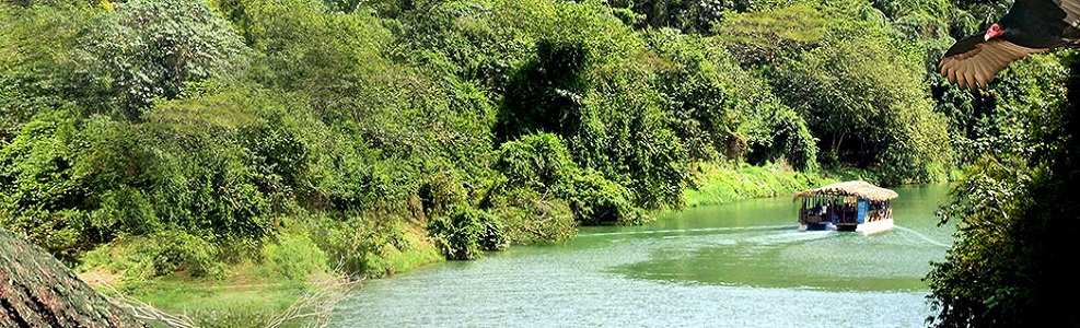 Jungle excursions on Rio Chavon