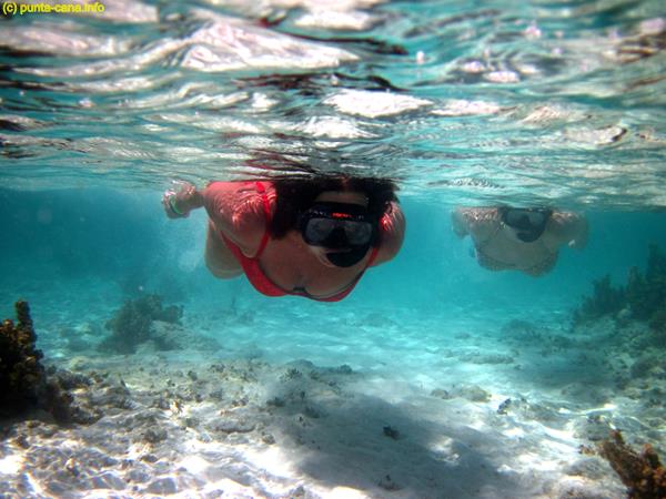 Saona Island: snorkeling