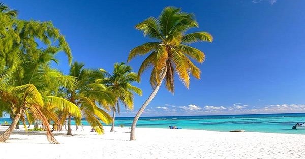 Saona Island: dream beaches