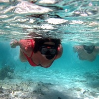 snorkeling excursions